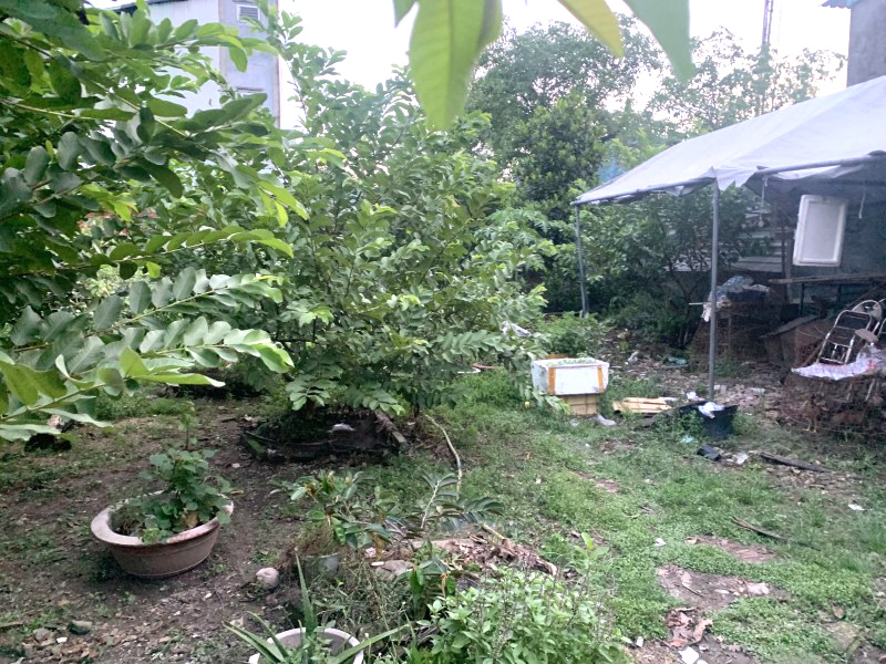 Bán Gấp Nhà 657m² Full Thổ – Ngang 12m – Hẻm Xe Hơi - Chỉ 36 Triệu/m² - Linh Xuân Thủ Đức, Sổ Hồng - Ảnh 3